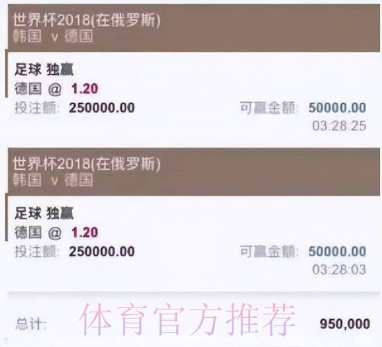 全面解析世界杯投注平台大全与投注攻略