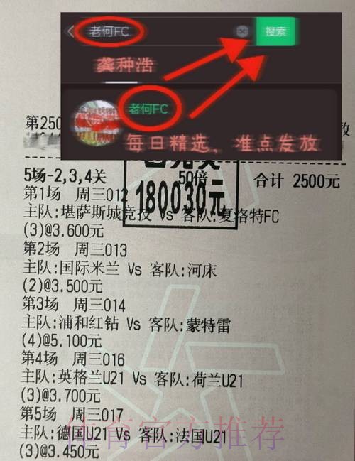 世界杯热门下注平台的数据分析与趋势解读